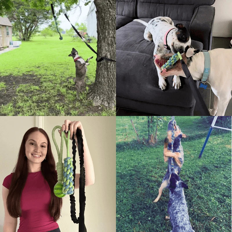FlexiPop™ - Juguete Bungee Interactivo
