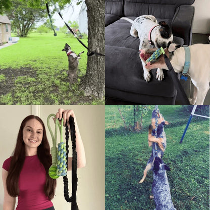 FlexiPop™ - Juguete Bungee Interactivo