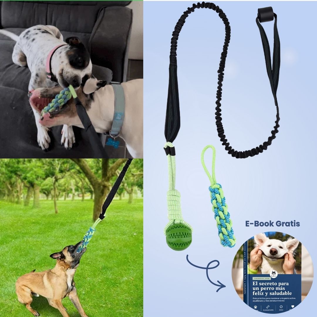 FlexiPop™ - Juguete Bungee Interactivo