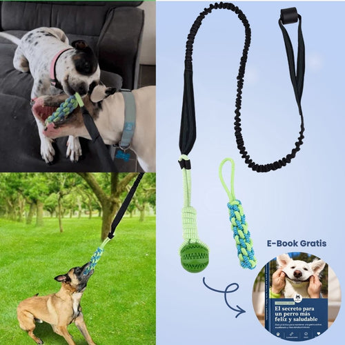 FlexiPop™ - Juguete Bungee Interactivo