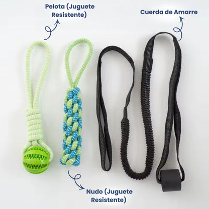 FlexiPop™ - Juguete Bungee Interactivo