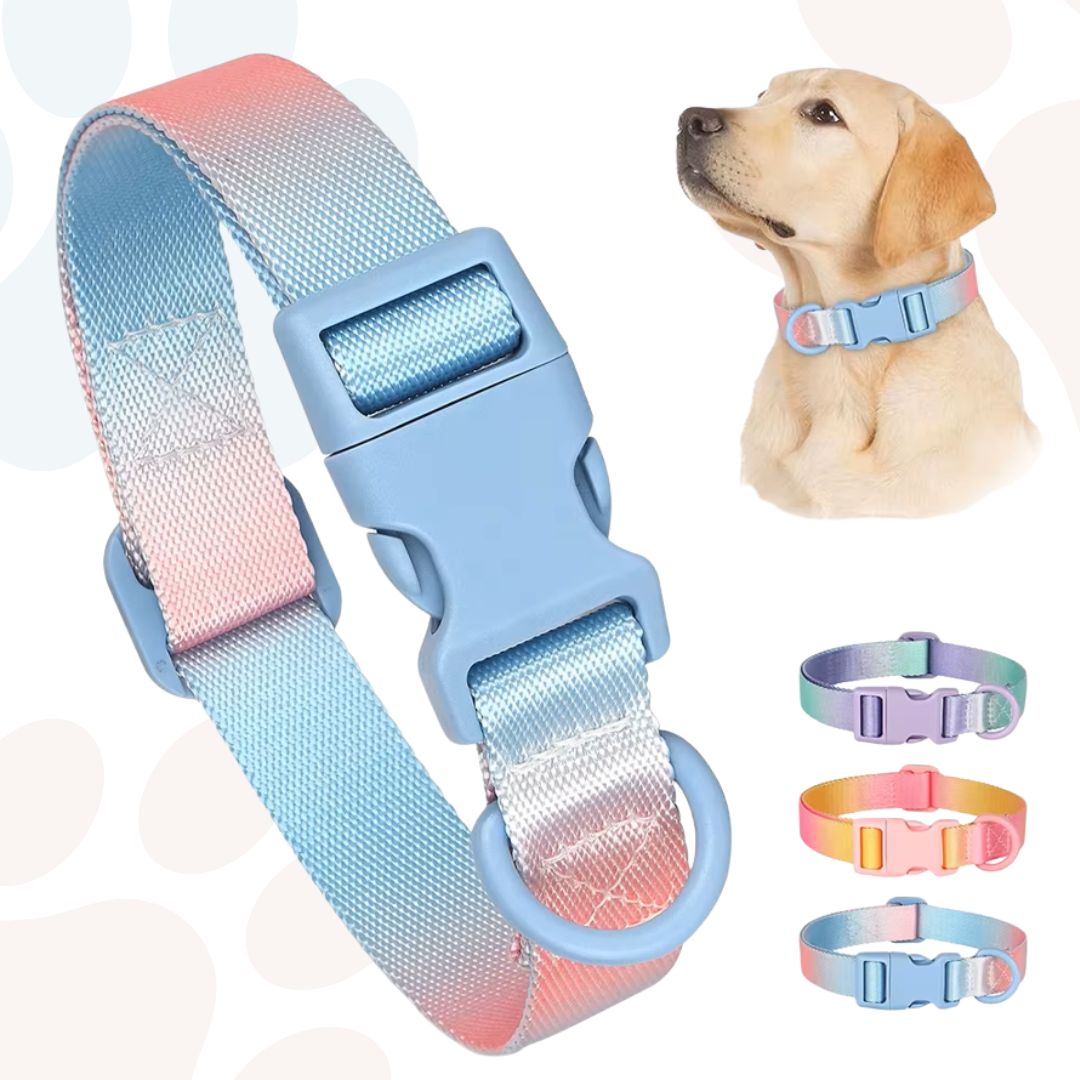 Collar PRISMA™