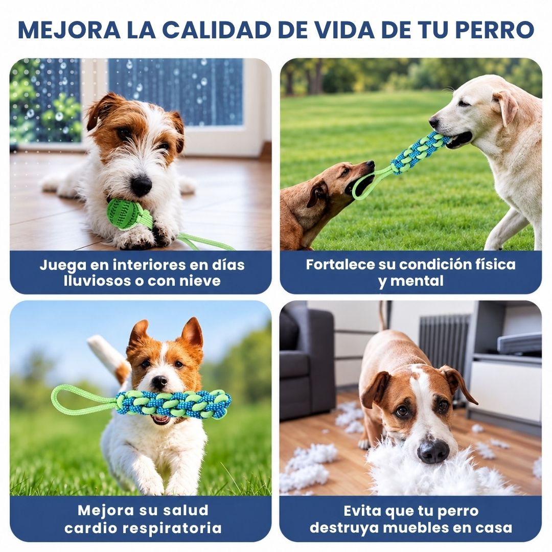 FlexiPop™ - Juguete Bungee Interactivo
